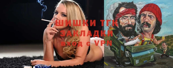 ALPHA PVP Няндома