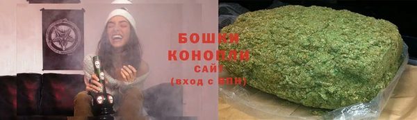 ALPHA PVP Няндома