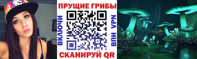 Галлюциногенные грибы Psilocybe  Стрежевой 