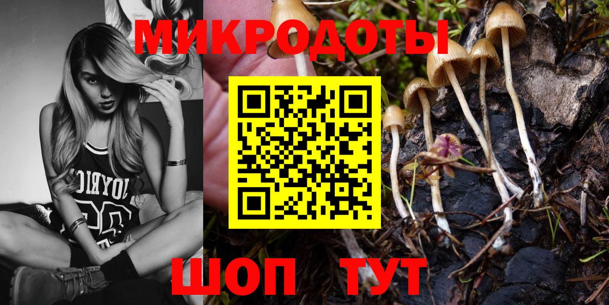 Галлюциногенные грибы Psilocybe Стрежевой