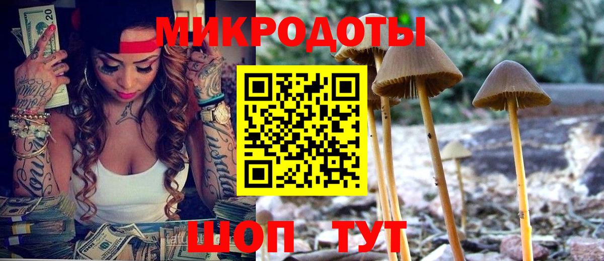 купить наркоту  Псилоцибиновые грибы мухоморы  Вход с VPN  Стрежевой 