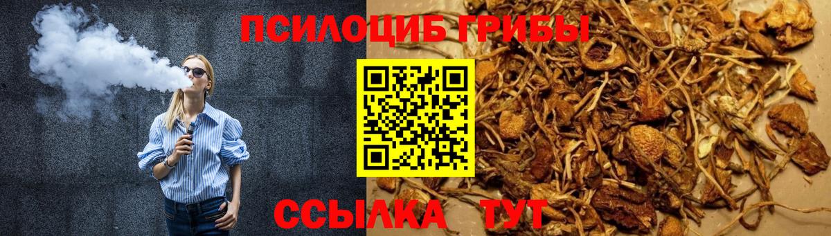 Галлюциногенные грибы GOLDEN TEACHER  Стрежевой 