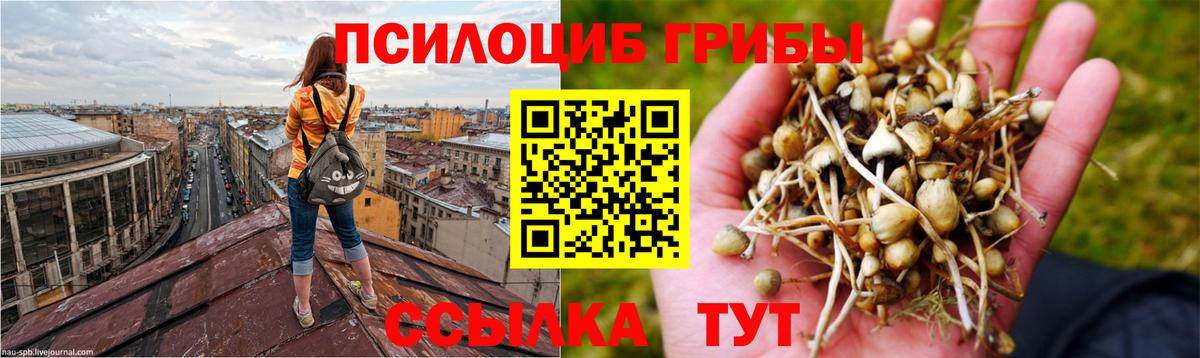 Галлюциногенные грибы GOLDEN TEACHER Стрежевой